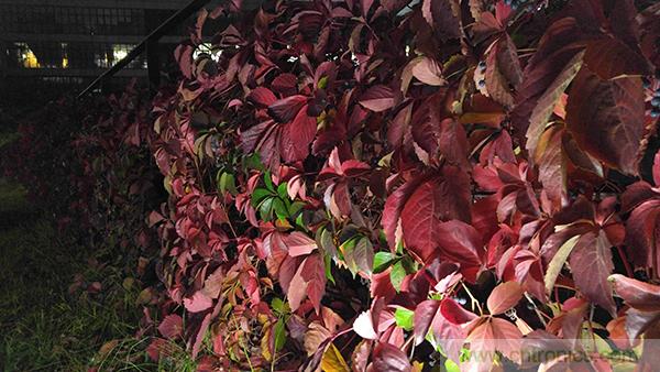 業(yè)界良心 LG V10 評測:剛毅、冷峻，不失人性化