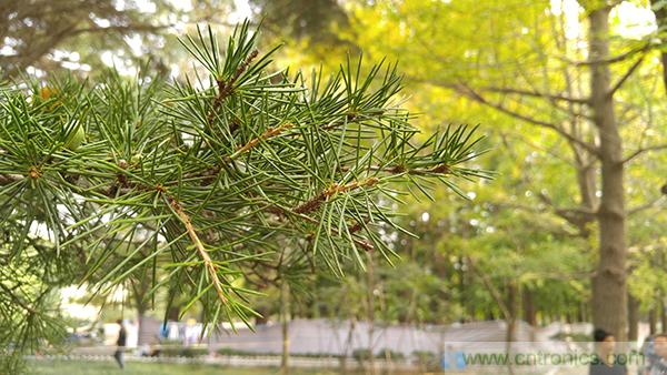 業(yè)界良心 LG V10 評測:剛毅、冷峻，不失人性化