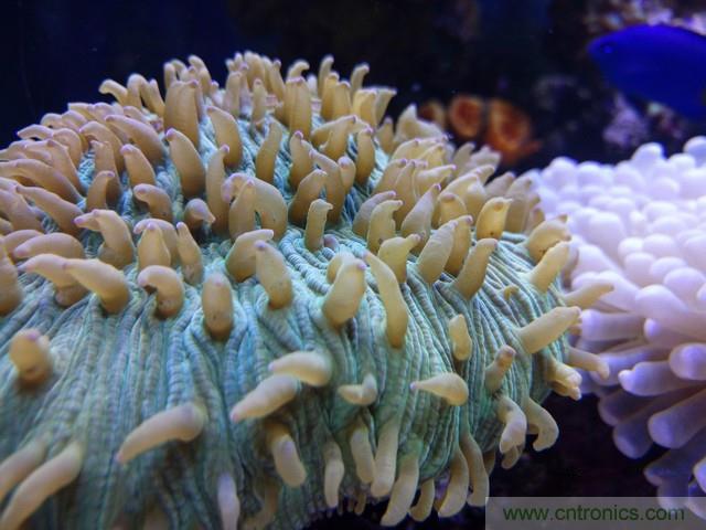 Hi-Fi革命！vivo X6 Plus深度評測：夠快才暢快