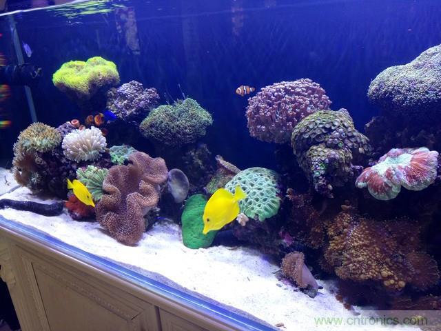 Hi-Fi革命！vivo X6 Plus深度評測：夠快才暢快