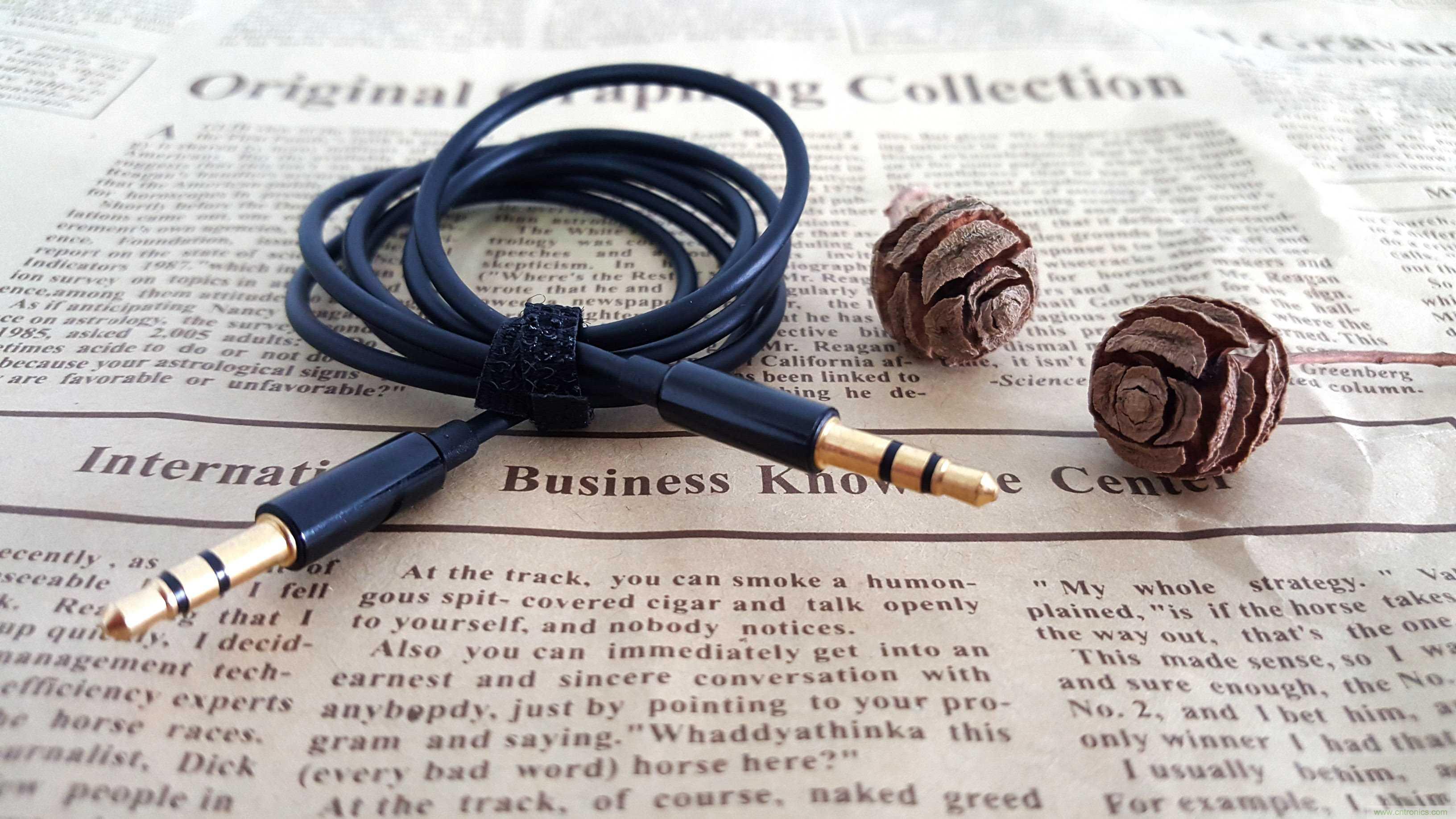 搞怪&ldquo;美人魚&rdquo;盡享靈克藍(lán)牙音箱的天籟之音！