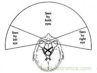 雙目重疊技術(shù)在VR中有什么作用？
