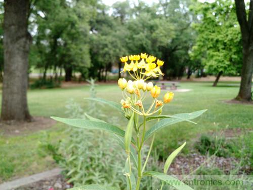 無(wú)數(shù)的拍攝，只為成就一個(gè)完美回憶