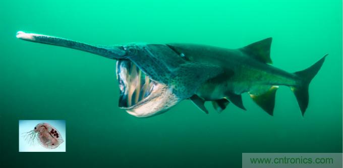 檢測不到信號，是加點噪聲？還是濾除噪聲？