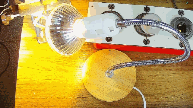 電燈泡內(nèi)通有交流電，為什么看不到燈泡在閃爍？