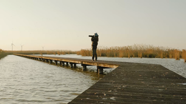 世界濕地日：海康威視攜手一個(gè)地球自然基金會，在上海守護(hù)這個(gè)重要“驛站”