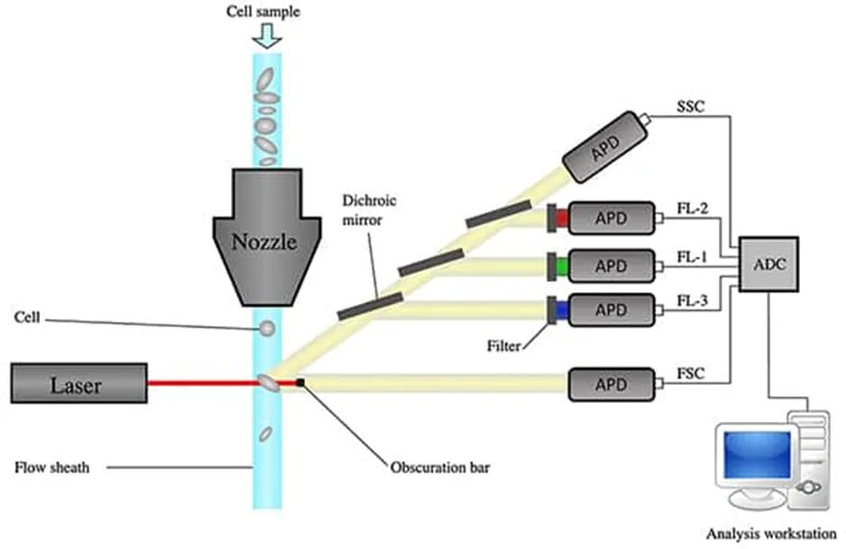 解決了！這個模塊解決了流式細胞儀設計的多個痛點！