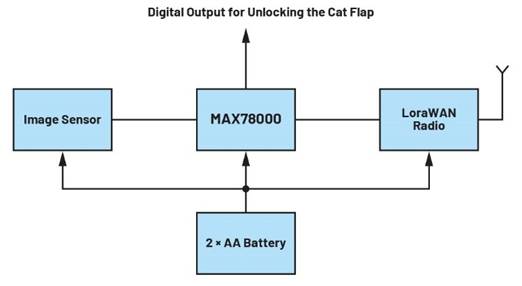 卷積神經(jīng)網(wǎng)絡的硬件轉(zhuǎn)換：什么是機器學習？——第三部分