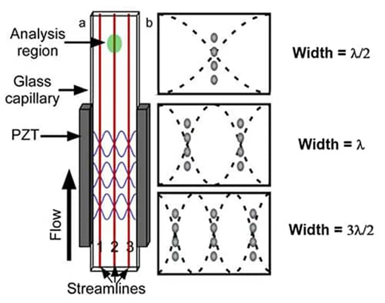 解決了！這個模塊解決了流式細胞儀設計的多個痛點！