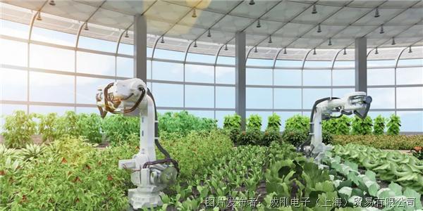 智慧農(nóng)業(yè)大有可為，“數(shù)字種地”更輕松